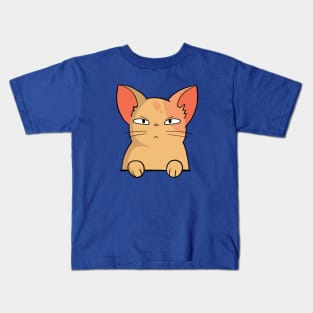 Cute Chubby Suspicious Cat Drawing Illustration Kids T-Shirt